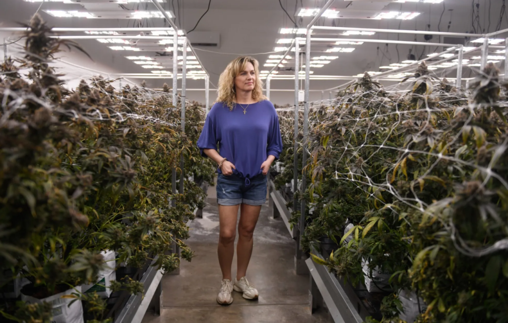 Texas Hemp Ban Flip Flop Sparks Regulatory Chaos For Emerging Businesses