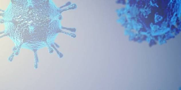 Designing Biology on a Computer: Stanford AI Creates 16 Novel Viruses for the First Time
